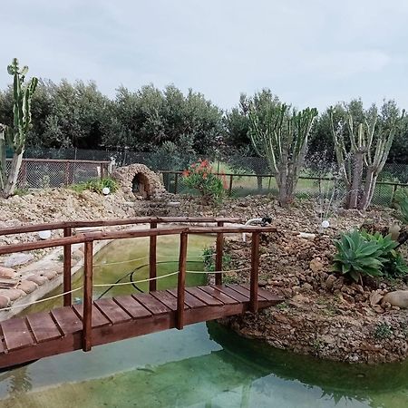 Villa Michelangelo กัสเตลลัมมาเร เดล โกลโฟ ภายนอก รูปภาพ
